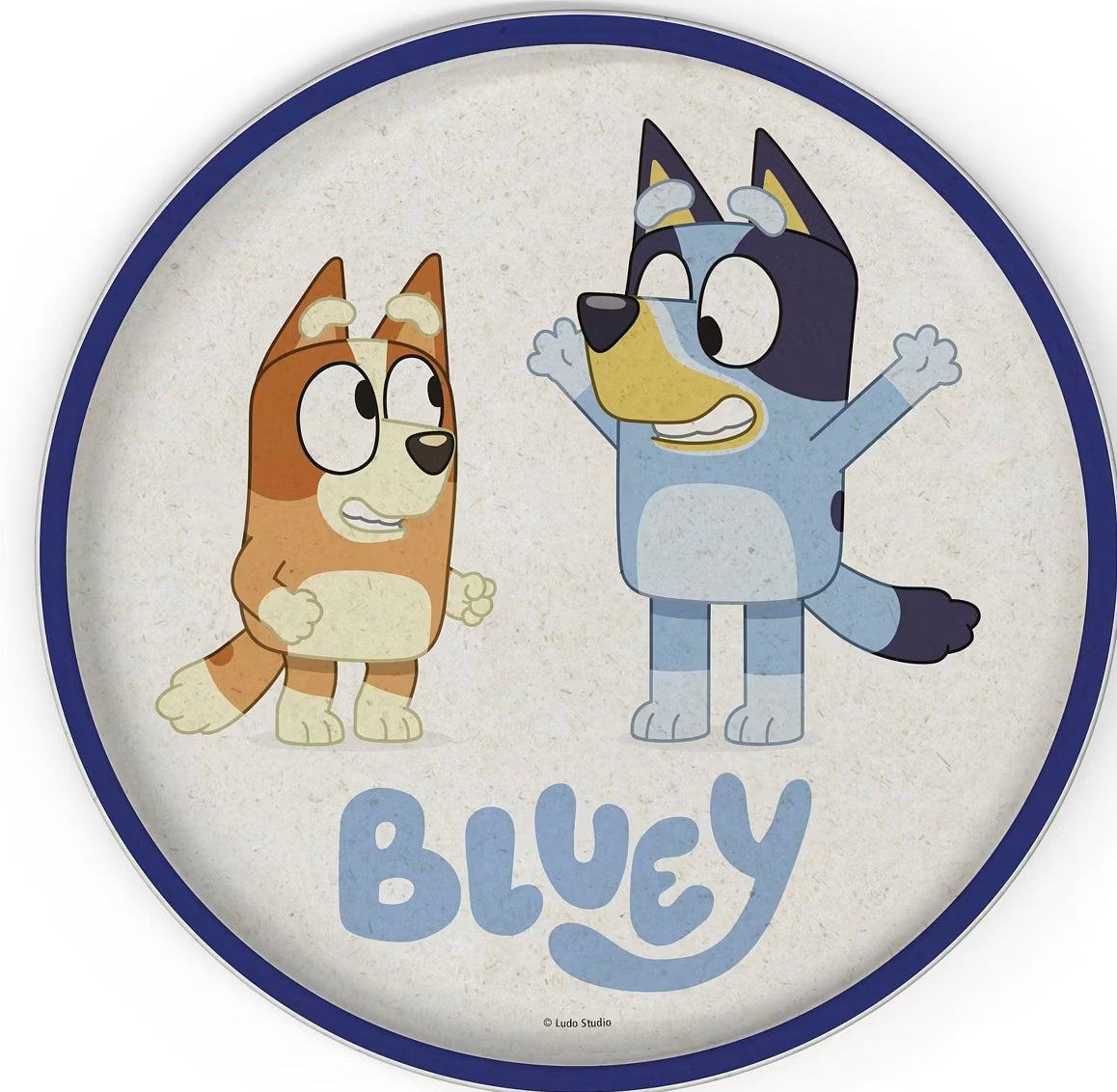 2 platos bamboo Bluey
